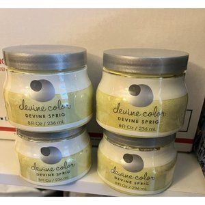 Devine Color by VALSPAR — Devine Sprig Paint 8oz (lot of 4)